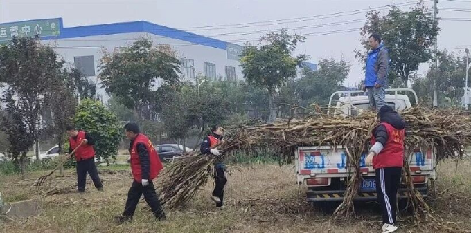 党建引领聚合力 志愿服务助农兴